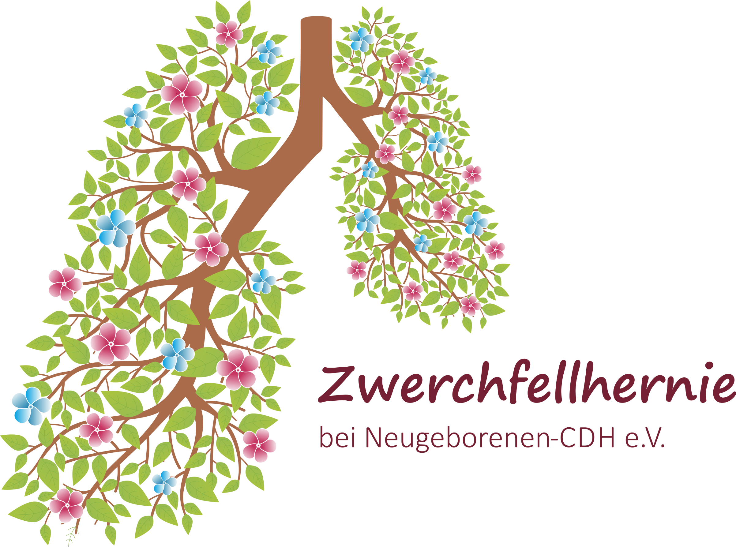 Zwerchfellhernie bei Neugeborenen – CDH e.V.